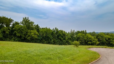 2 lots being sold together totaling 2.55 acres. 9611 & 9615 on River Islands Golf Club in Tennessee - for sale on GolfHomes.com, golf home, golf lot
