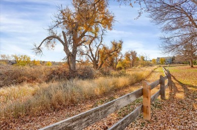 Remodeled Home with a Serene Treed Backdrop openspace! What a on The Links At Highlands Ranch in Colorado - for sale on GolfHomes.com, golf home, golf lot