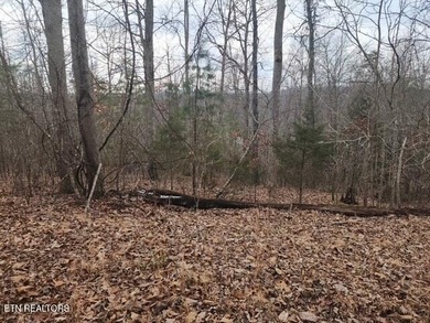 Come to Norris Lake and build your home on this rolling .74 on The Greens at Deerfield in Tennessee - for sale on GolfHomes.com, golf home, golf lot