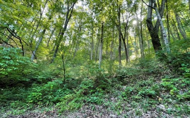 BEAUTIFULLY WOODED LOT IN UPSCALE SUBDIVISION IN THE MOUNTAINS on Mountain Harbour Golf Club in North Carolina - for sale on GolfHomes.com, golf home, golf lot