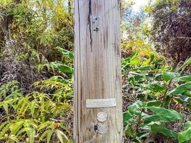 Build your dream home on this gorgeous front lot lush with on Volcano Golf and Country Club in Hawaii - for sale on GolfHomes.com, golf home, golf lot