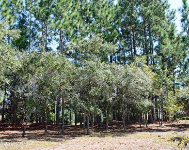 Discover your perfect corner lot in prestigious Stirling Hills on Ocean Ridge Plantation in North Carolina - for sale on GolfHomes.com, golf home, golf lot