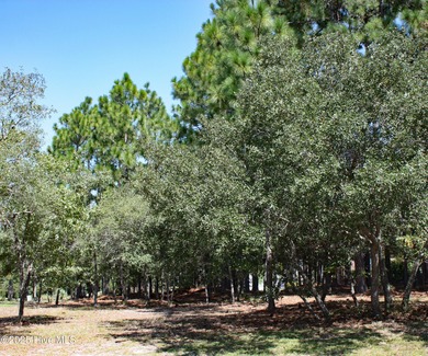 Discover your perfect corner lot in prestigious Stirling Hills on Ocean Ridge Plantation in North Carolina - for sale on GolfHomes.com, golf home, golf lot