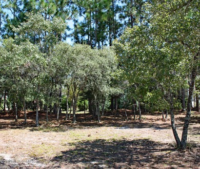 Discover your perfect corner lot in prestigious Stirling Hills on Ocean Ridge Plantation in North Carolina - for sale on GolfHomes.com, golf home, golf lot