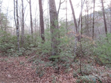 Easy build lot located within Rumbling Bald Resort. No HOA fees on Rumbling Bald Resort on Lake Lure in North Carolina - for sale on GolfHomes.com, golf home, golf lot