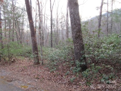 Easy build lot located within Rumbling Bald Resort. No HOA fees on Rumbling Bald Resort on Lake Lure in North Carolina - for sale on GolfHomes.com, golf home, golf lot