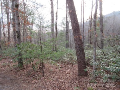 Easy build lot located within Rumbling Bald Resort. No HOA fees on Rumbling Bald Resort on Lake Lure in North Carolina - for sale on GolfHomes.com, golf home, golf lot