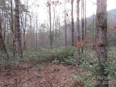 Easy build lot located within Rumbling Bald Resort. No HOA fees on Rumbling Bald Resort on Lake Lure in North Carolina - for sale on GolfHomes.com, golf home, golf lot