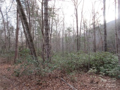 Easy build lot located within Rumbling Bald Resort. No HOA fees on Rumbling Bald Resort on Lake Lure in North Carolina - for sale on GolfHomes.com, golf home, golf lot