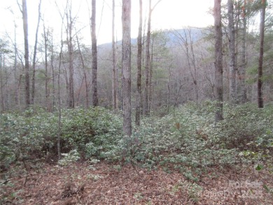 Easy build lot located within Rumbling Bald Resort. No HOA fees on Rumbling Bald Resort on Lake Lure in North Carolina - for sale on GolfHomes.com, golf home, golf lot