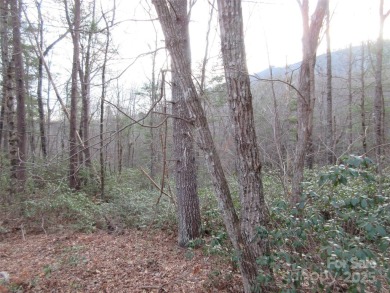 Easy build lot located within Rumbling Bald Resort. No HOA fees on Rumbling Bald Resort on Lake Lure in North Carolina - for sale on GolfHomes.com, golf home, golf lot