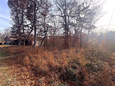 Discover your blank canvas in the heart of Bella Vista! This on Bella Vista - Metfield Golf Complex and Country Club in Arkansas - for sale on GolfHomes.com, golf home, golf lot