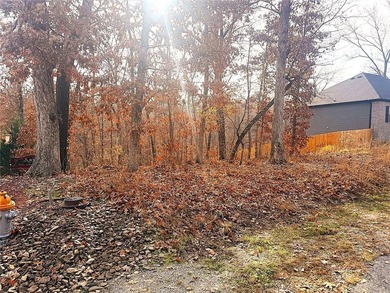 Discover your blank canvas in the heart of Bella Vista! This on Bella Vista - Metfield Golf Complex and Country Club in Arkansas - for sale on GolfHomes.com, golf home, golf lot