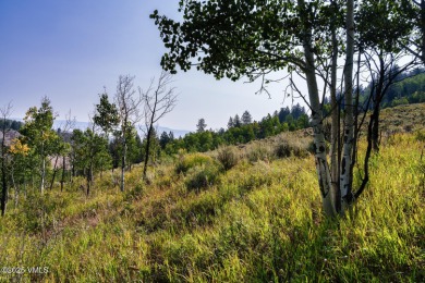 Build Your Dream Mountain Retreat in Cordillera! This desirable on Club At Cordillera Summit Course in Colorado - for sale on GolfHomes.com, golf home, golf lot