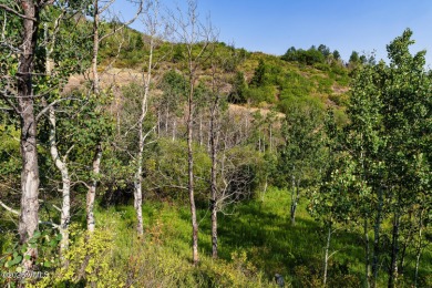 Build Your Dream Mountain Retreat in Cordillera! This desirable on Club At Cordillera Summit Course in Colorado - for sale on GolfHomes.com, golf home, golf lot