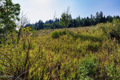 Build Your Dream Mountain Retreat in Cordillera! This desirable on Club At Cordillera Summit Course in Colorado - for sale on GolfHomes.com, golf home, golf lot