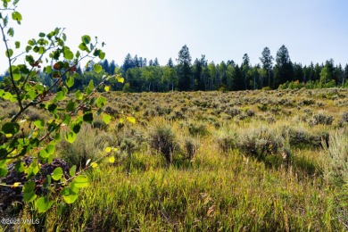 Build Your Dream Mountain Retreat in Cordillera! This desirable on Club At Cordillera Summit Course in Colorado - for sale on GolfHomes.com, golf home, golf lot