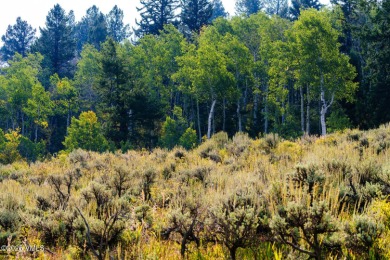 Build Your Dream Mountain Retreat in Cordillera! This desirable on Club At Cordillera Summit Course in Colorado - for sale on GolfHomes.com, golf home, golf lot