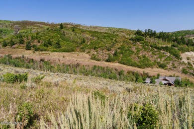 Build Your Dream Mountain Retreat in Cordillera! This desirable on Club At Cordillera Summit Course in Colorado - for sale on GolfHomes.com, golf home, golf lot