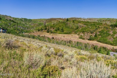Build Your Dream Mountain Retreat in Cordillera! This desirable on Club At Cordillera Summit Course in Colorado - for sale on GolfHomes.com, golf home, golf lot
