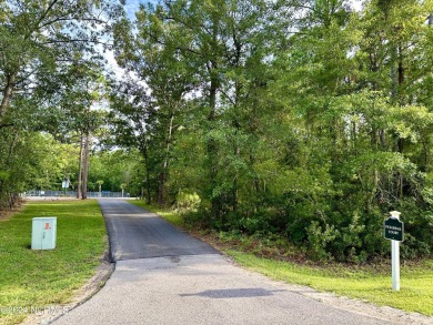 New Construction by Treweek Construction, INC in the beautiful on Harbour Point Golf Club in North Carolina - for sale on GolfHomes.com, golf home, golf lot