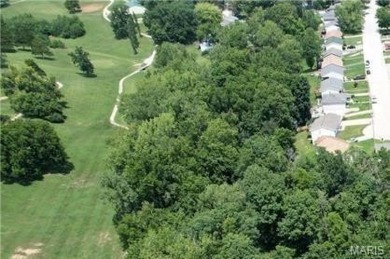 Attention builders and developers! Zoned for multi-family on American Legion Golf Course in Missouri - for sale on GolfHomes.com, golf home, golf lot