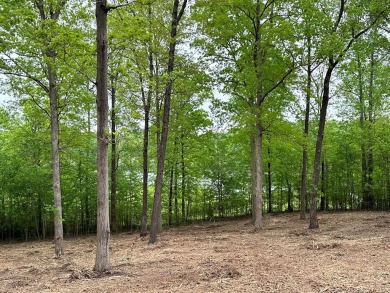 Beautiful 0.89 acre lake view lot on the former Falcon Ridge on Falcon Ridge Golf Club in Tennessee - for sale on GolfHomes.com, golf home, golf lot
