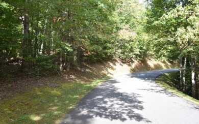 Gentle lying .77 acre building lot with good mountain views with on Mountain Harbour Golf Club in North Carolina - for sale on GolfHomes.com, golf home, golf lot