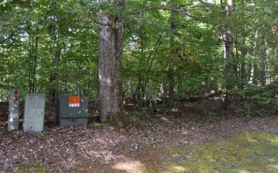 Gentle lying .77 acre building lot with good mountain views with on Mountain Harbour Golf Club in North Carolina - for sale on GolfHomes.com, golf home, golf lot