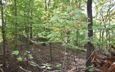 Gentle lying .77 acre building lot with good mountain views with on Mountain Harbour Golf Club in North Carolina - for sale on GolfHomes.com, golf home, golf lot