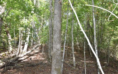 Gentle lying .77 acre building lot with good mountain views with on Mountain Harbour Golf Club in North Carolina - for sale on GolfHomes.com, golf home, golf lot