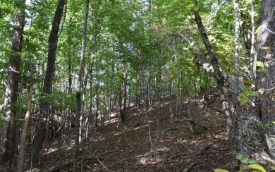 Gentle lying .77 acre building lot with good mountain views with on Mountain Harbour Golf Club in North Carolina - for sale on GolfHomes.com, golf home, golf lot