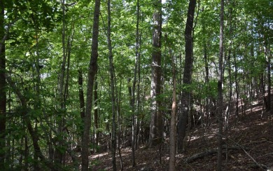 Gentle lying .77 acre building lot with good mountain views with on Mountain Harbour Golf Club in North Carolina - for sale on GolfHomes.com, golf home, golf lot