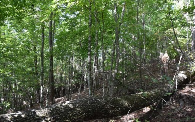 Gentle lying .77 acre building lot with good mountain views with on Mountain Harbour Golf Club in North Carolina - for sale on GolfHomes.com, golf home, golf lot