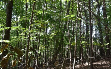 Gentle lying .77 acre building lot with good mountain views with on Mountain Harbour Golf Club in North Carolina - for sale on GolfHomes.com, golf home, golf lot