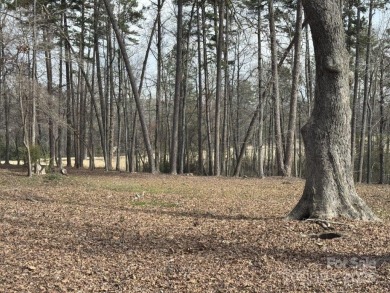 Build your dream home on this large golf course lot located on on Old North State Club at Uwharrie Point Golf community in North Carolina - for sale on GolfHomes.com, golf home, golf lot