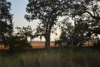 Over 1 acre Marsh view lot at a great price! Located in the on Sapelo Hammock Golf Club in Georgia - for sale on GolfHomes.com, golf home, golf lot