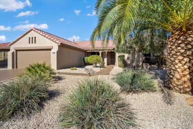 Looking for a golf course home with extended garage here it is on Desert Springs Golf Course in Arizona - for sale on GolfHomes.com, golf home, golf lot