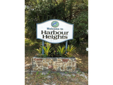 An excellent choice for builders and investors. This property is on Deep Creek Golf Club in Florida - for sale on GolfHomes.com, golf home, golf lot
