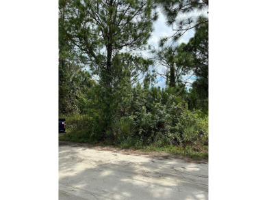 An excellent choice for builders and investors. This property is on Deep Creek Golf Club in Florida - for sale on GolfHomes.com, golf home, golf lot