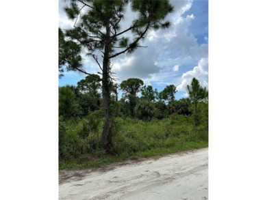 An excellent choice for builders and investors. This property is on Deep Creek Golf Club in Florida - for sale on GolfHomes.com, golf home, golf lot