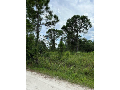 An excellent choice for builders and investors. This property is on Deep Creek Golf Club in Florida - for sale on GolfHomes.com, golf home, golf lot