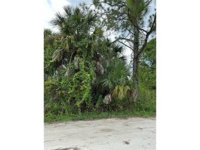 An excellent choice for builders and investors. This property is on Deep Creek Golf Club in Florida - for sale on GolfHomes.com, golf home, golf lot