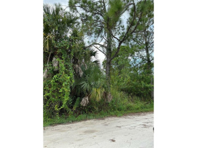 An excellent choice for builders and investors. This property is on Deep Creek Golf Club in Florida - for sale on GolfHomes.com, golf home, golf lot