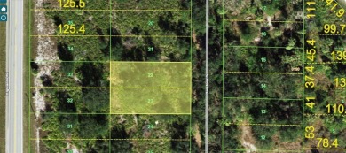 An excellent choice for builders and investors. This property is on Deep Creek Golf Club in Florida - for sale on GolfHomes.com, golf home, golf lot