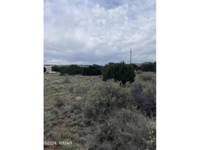 0.34 acre on Dawn Lane in Concho Valley. 
Paved roads
This lot on Concho Valley Country Club in Arizona - for sale on GolfHomes.com, golf home, golf lot