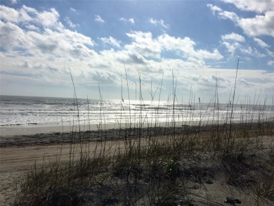 Enjoy oceanfront living in style in a Sandpiper Beach Home on on Golf Club of Amelia Island in Florida - for sale on GolfHomes.com, golf home, golf lot