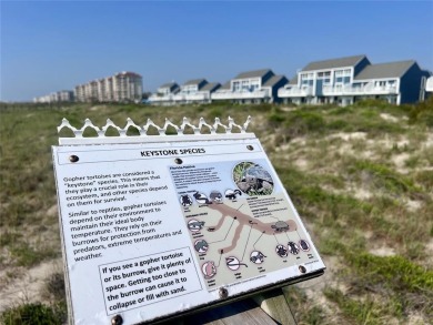 Enjoy oceanfront living in style in a Sandpiper Beach Home on on Golf Club of Amelia Island in Florida - for sale on GolfHomes.com, golf home, golf lot