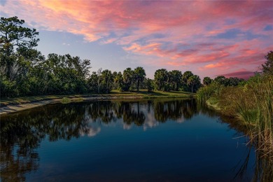 Back on market due to buyer's home sale contingency not being on The Preserve Golf Club At Tara in Florida - for sale on GolfHomes.com, golf home, golf lot