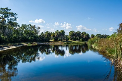 Back on market due to buyer's home sale contingency not being on The Preserve Golf Club At Tara in Florida - for sale on GolfHomes.com, golf home, golf lot
